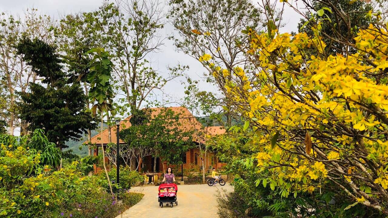 Orchard Home Nam Cát Tiên Resort